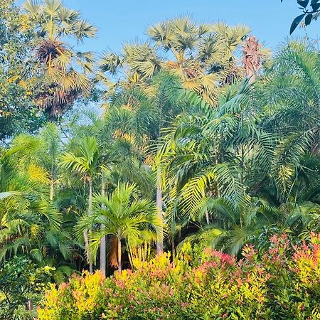 Sasvi Cabana Trincomalee Ngoại thất bức ảnh