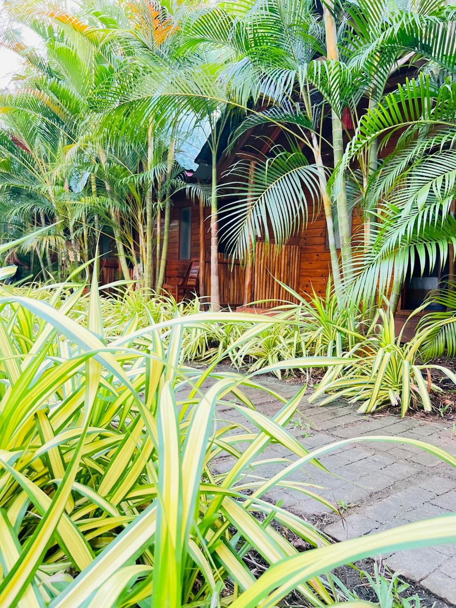 Sasvi Cabana Villa Trincomalee Ngoại thất bức ảnh
